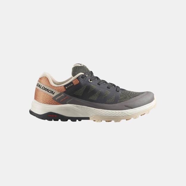 Picture of SALOMON - OUTRISE GTX W